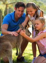 Gold Coast Tourist Attractions